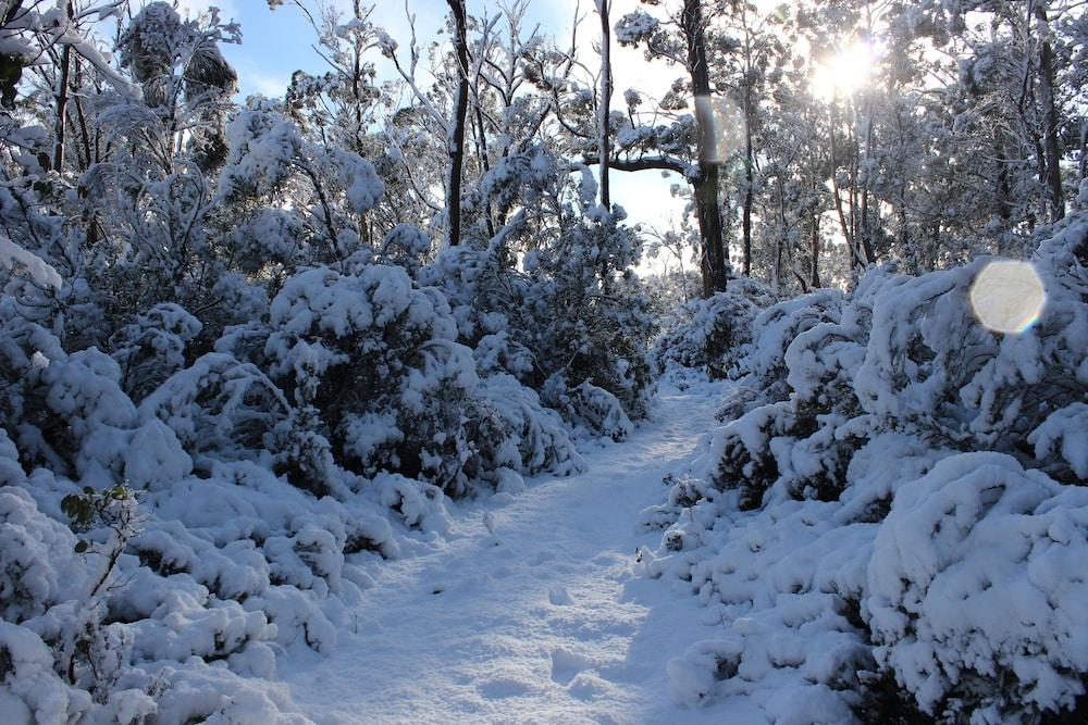 Cradle Mountain Hotel المظهر الخارجي الصورة