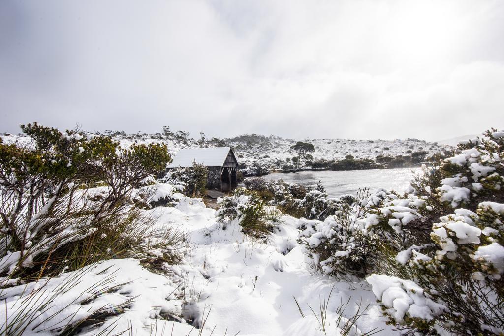 Cradle Mountain Hotel المظهر الخارجي الصورة