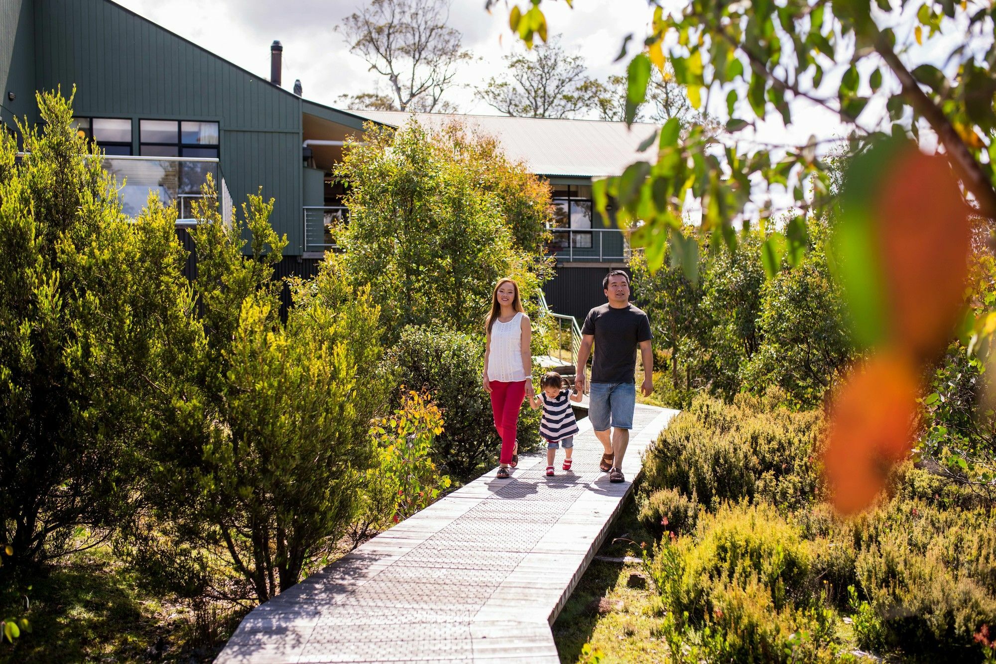 Cradle Mountain Hotel المظهر الخارجي الصورة